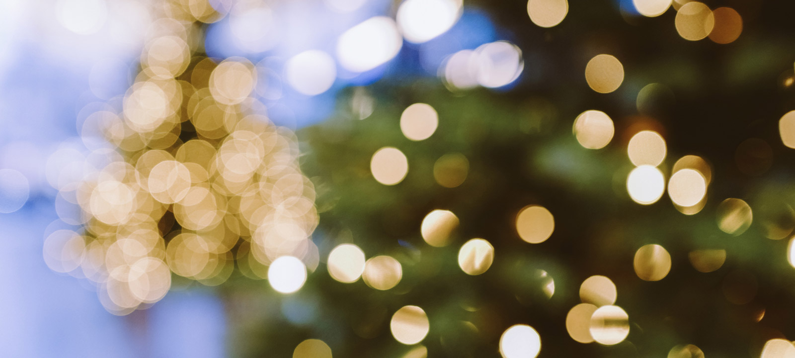 Sự kiện đón Giáng sinh tại Winery Brotherhood đã được bắt đầu, và bạn không muốn bỏ lỡ cảnh sáng đèn cây thông trên khu vườn đầy lãng mạn. Hãy xem bức ảnh liên kết để trải nghiệm không khí Giáng sinh.