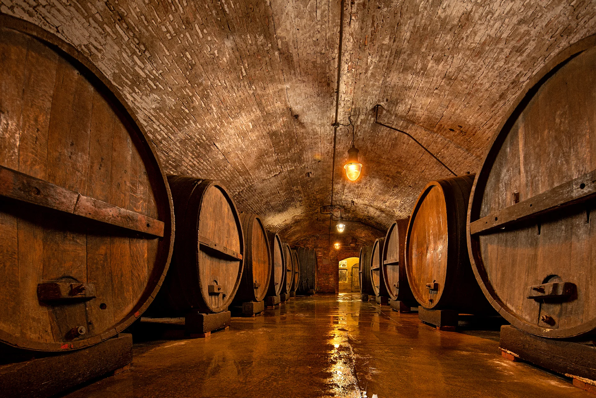Historic center vault wine cellar at Brotherhood Winery